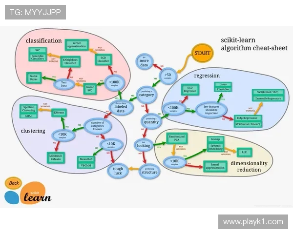 能力与上限争议：潜力评估与实际表现差距分析